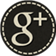 Google Plus Active Icon